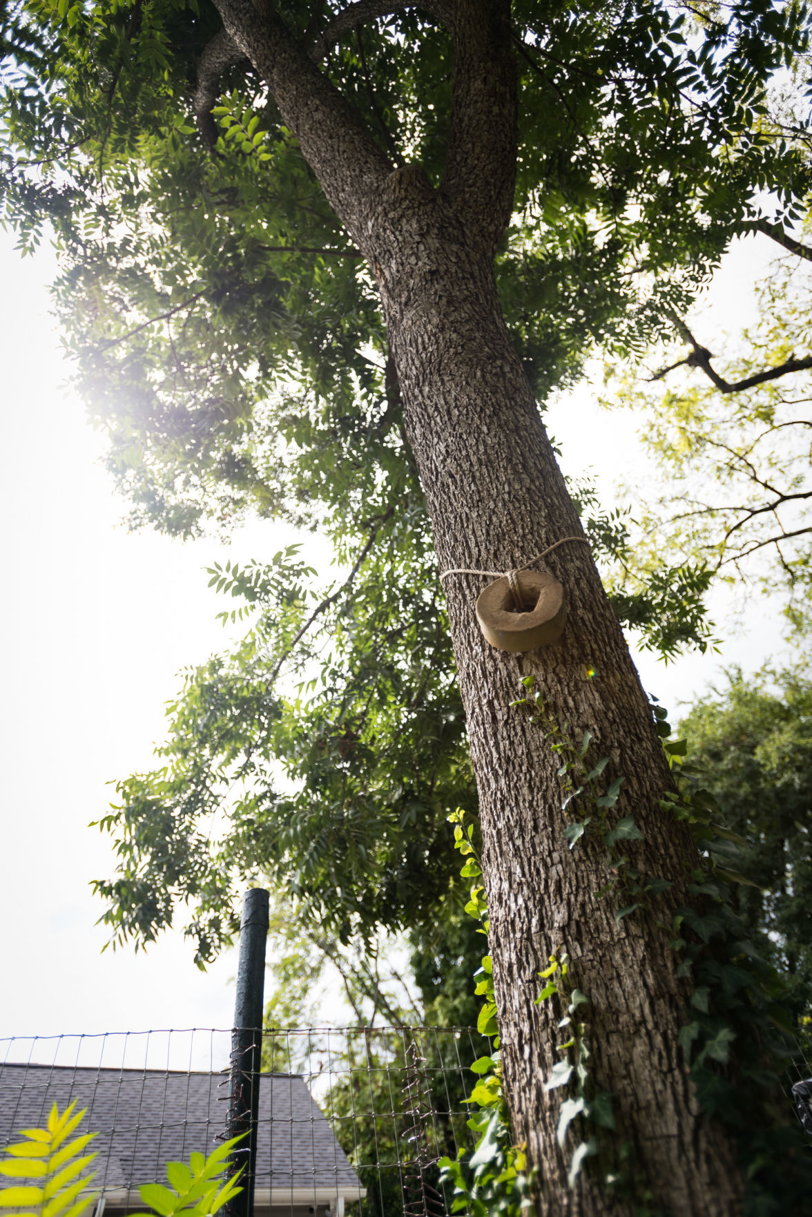 Acadia Food Forest